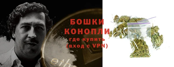 стаф Володарск