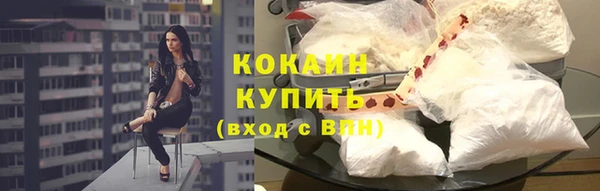 стаф Володарск