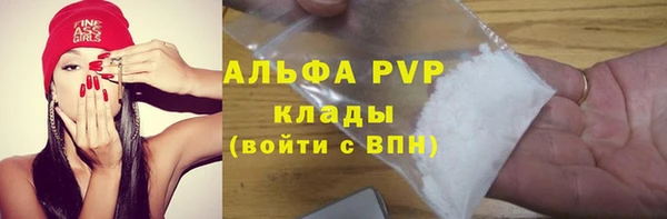 стаф Володарск