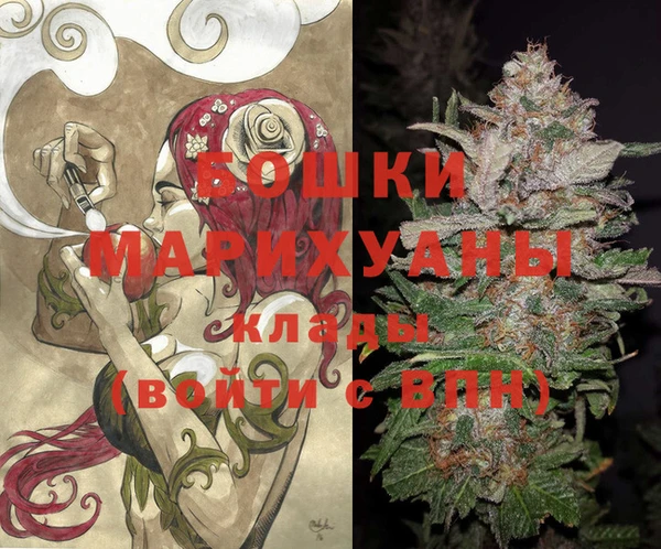 стаф Володарск