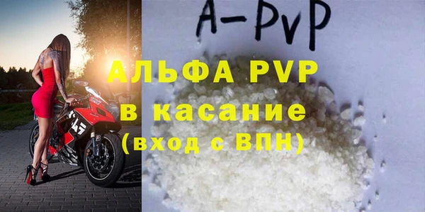 стаф Володарск
